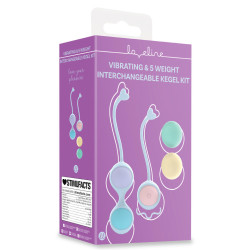  Loveline Set de 5 Boules de Geisha Polinia